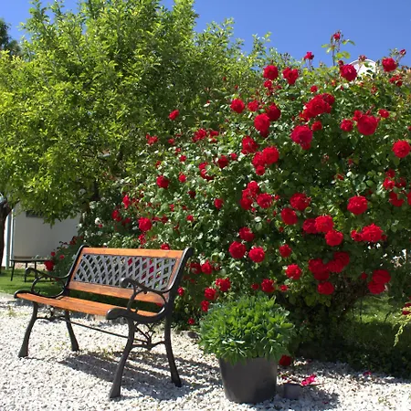 The Secret Garden - كيستاي