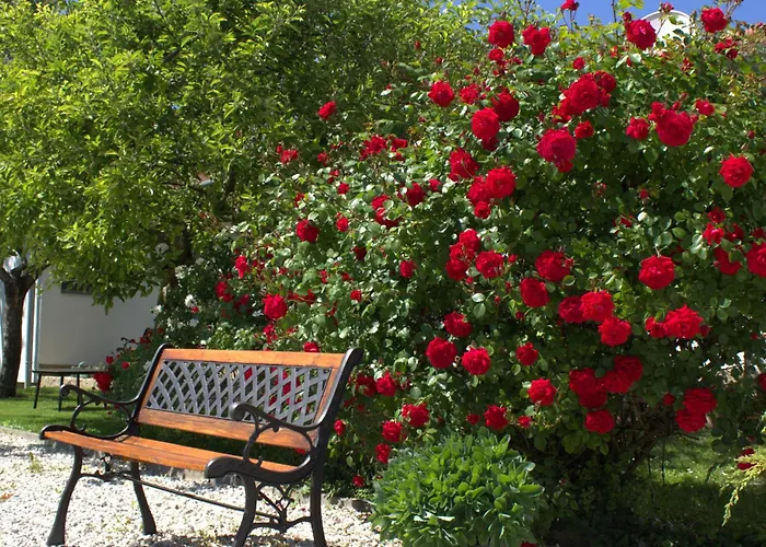 The Secret Garden - 凯斯特海伊